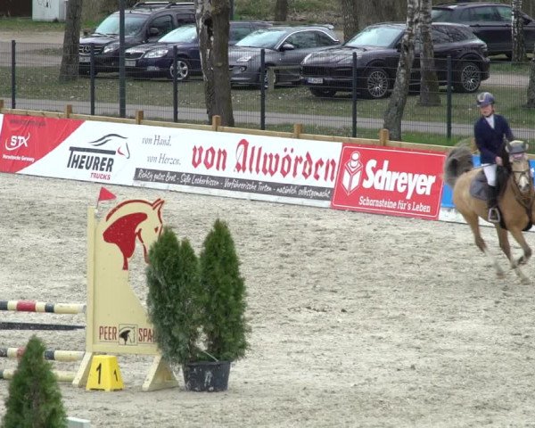 Reitturnier Westergellersen 2021