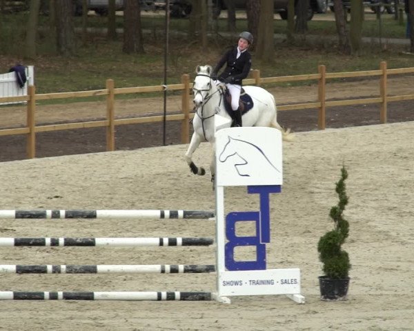 Reitturnier Westergellersen 2021
