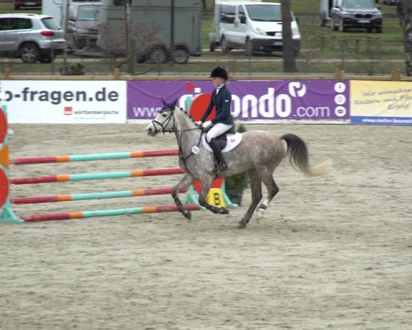 Reitturnier Westergellersen 2021