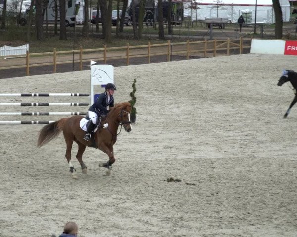 Reitturnier Westergellersen 2021