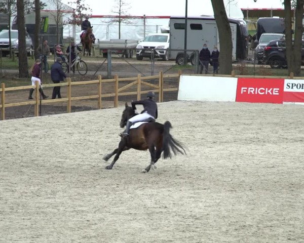 Reitturnier Westergellersen 2021