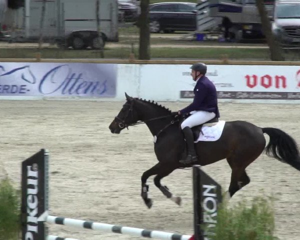 Reitturnier Westergellersen 2021