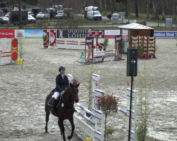 Reitturnier Westergellersen 2021