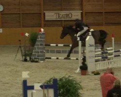 jumper Ca del Pazzo (Rhinelander, 2003, from Couleur Rubin)