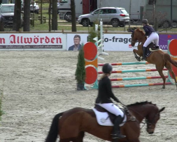 Reitturnier Westergellersen 2021