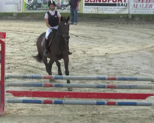 broodmare Chiara G (Oldenburg, 1999, from Coriolan)