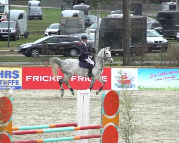 Reitturnier Westergellersen 2021