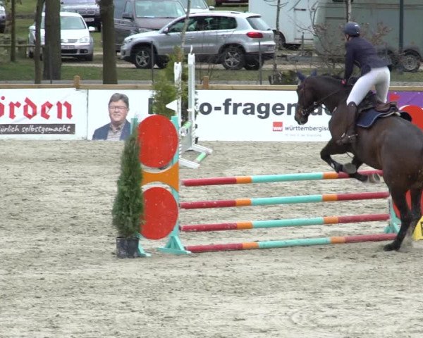Reitturnier Westergellersen 2021