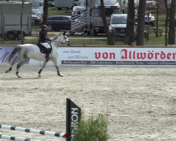Reitturnier Westergellersen 2021