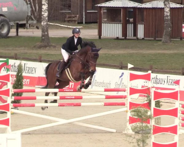 Reitturnier Westergellersen 2021