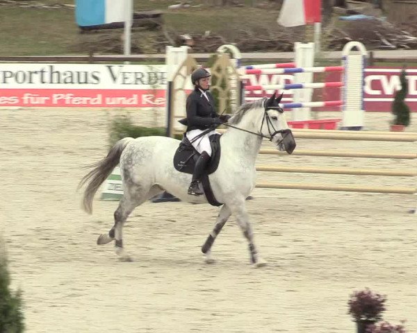 Reitturnier Westergellersen 2021