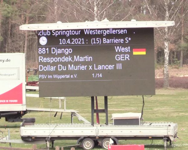 Reitturnier Westergellersen 2021