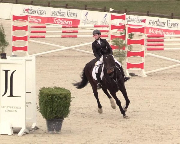Reitturnier Westergellersen 2021