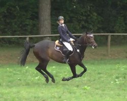 jumper Lets do it ESC (Oldenburg, 2006, from Limbus)