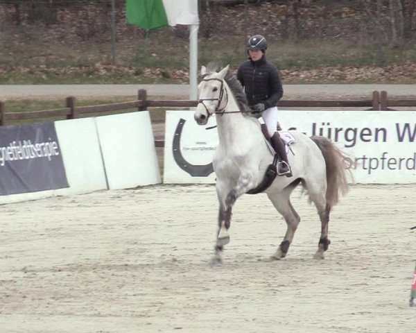 Reitturnier Westergellersen 2021
