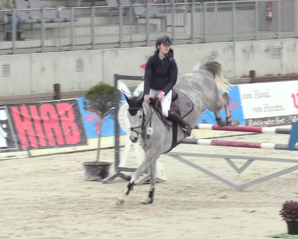 Reitturnier Westergellersen 2021