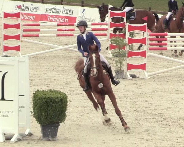 Reitturnier Westergellersen 2021