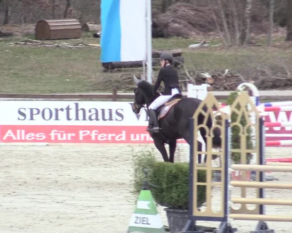 Reitturnier Westergellersen 2021