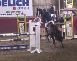 jumper Clea Zhang (Zweibrücken, 2007, from Cerdic)
