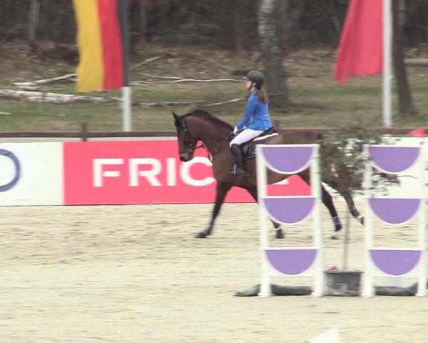 Reitturnier Westergellersen 2021