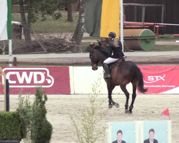 Reitturnier Westergellersen 2021