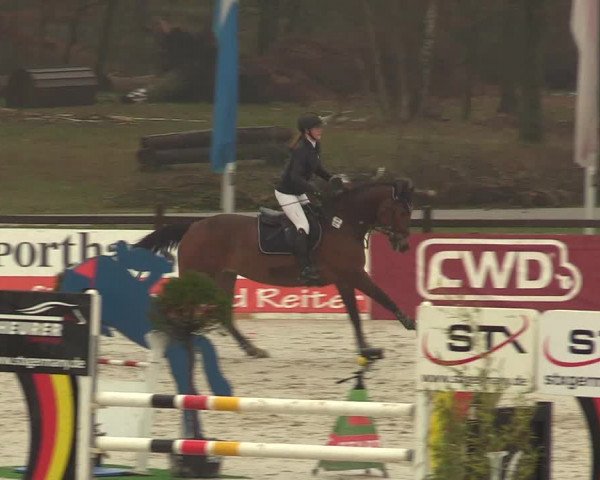 Reitturnier Westergellersen 2021