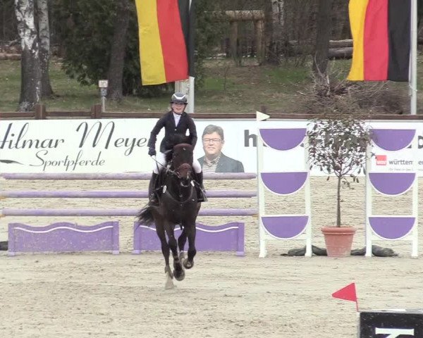 Reitturnier Westergellersen 2021