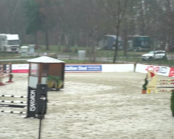 Reitturnier Westergellersen 2021