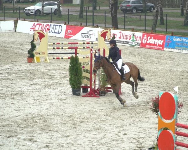 Reitturnier Westergellersen 2021