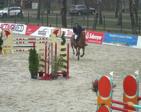 Reitturnier Westergellersen 2021
