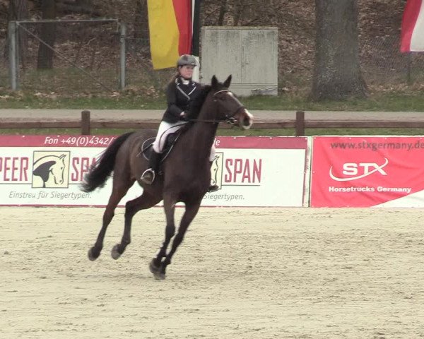 Reitturnier Westergellersen 2021