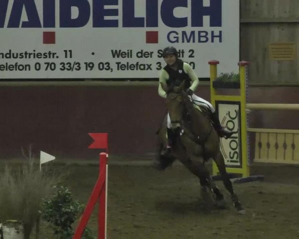 jumper Ellya 2 (Württemberger, 2003, from Exodus)
