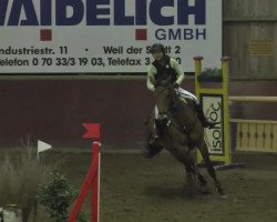 jumper Ellya 2 (Württemberger, 2003, from Exodus)