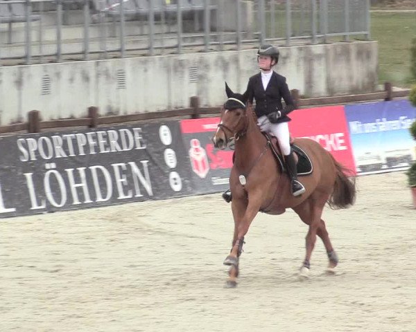 Reitturnier Westergellersen 2021
