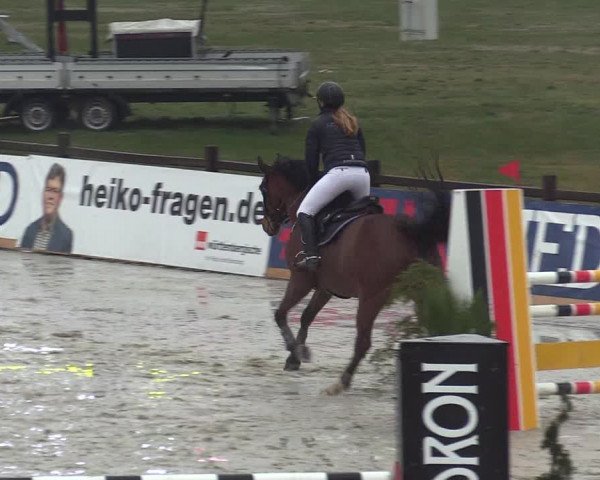 Reitturnier Westergellersen 2021