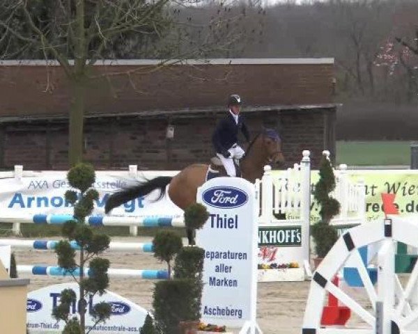 jumper Antje Volo (KWPN (Royal Dutch Sporthorse), 2005, from Tadmus)