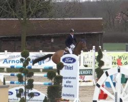 jumper Antje Volo (KWPN (Royal Dutch Sporthorse), 2005, from Tadmus)