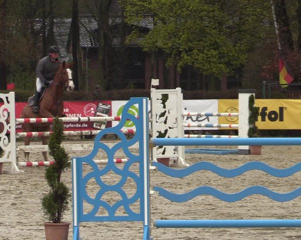 Reitturnier Münster-Handorf 2021