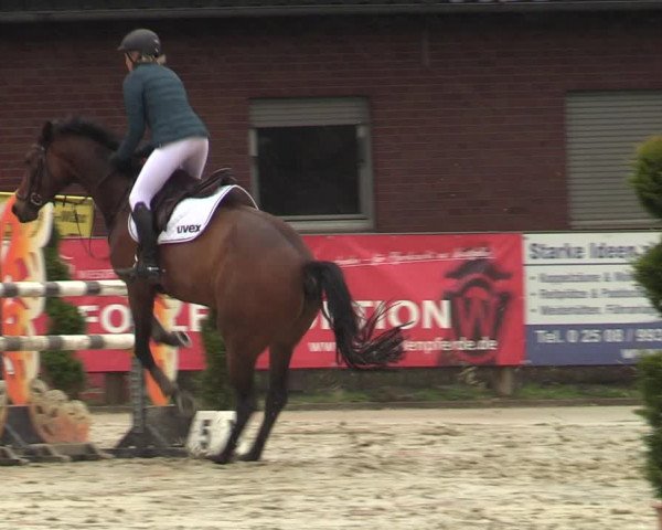 Reitturnier Münster-Handorf 2021