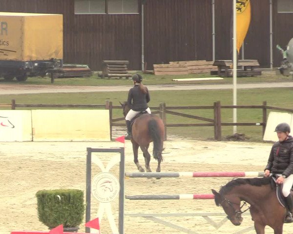 Reitturnier Westergellersen 2021