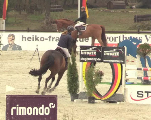 Reitturnier Westergellersen 2021