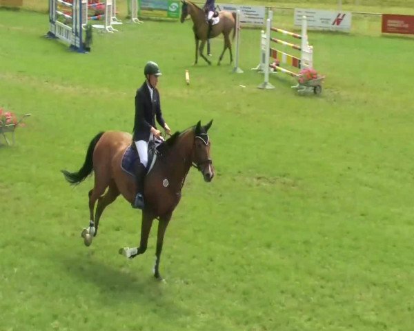 broodmare Candlelight L (Württemberger, 2006, from Candillo Z)