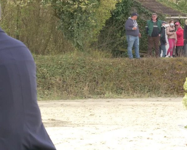 Reitturnier Nordheim-Wattenheim 2021