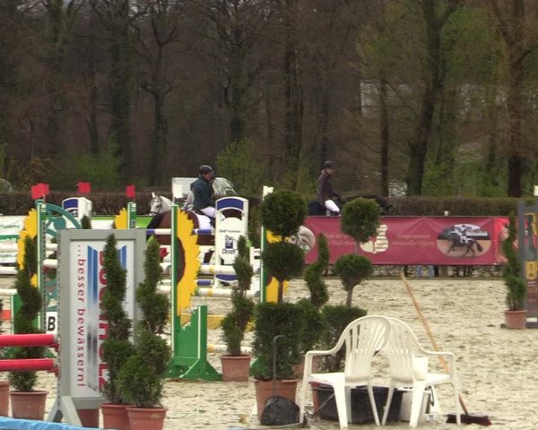 Reitturnier Münster-Handorf 2021