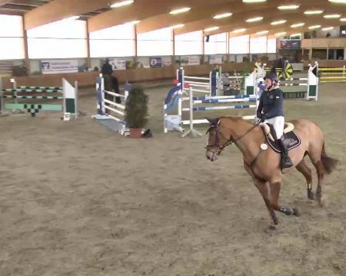 jumper Fleur van't Valkenhof (Belgian Warmblood, 1991, from Bengale)