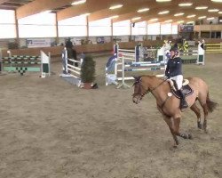 jumper Fleur van't Valkenhof (Belgian Warmblood, 1991, from Bengale)