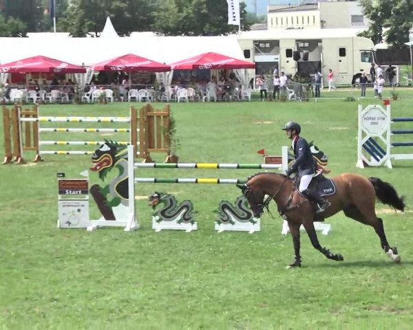 Springpferd Lanzado 2 (Oldenburger Springpferd, 2007, von Lordanos) Springpferd Lanzado 2 (Oldenburger Springpferd, 2007, von Lordanos)