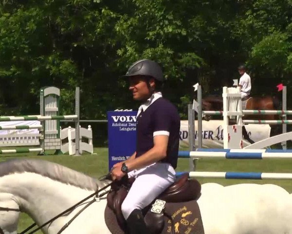jumper Horse Sport Travel's Samy (Hanoverian, 2007, from Stalypso)