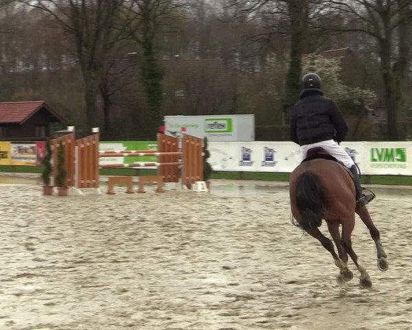 Reitturnier Münster-Handorf 2021