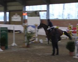 jumper Chiavacci (Oldenburg, 2008, from Captain Fire)